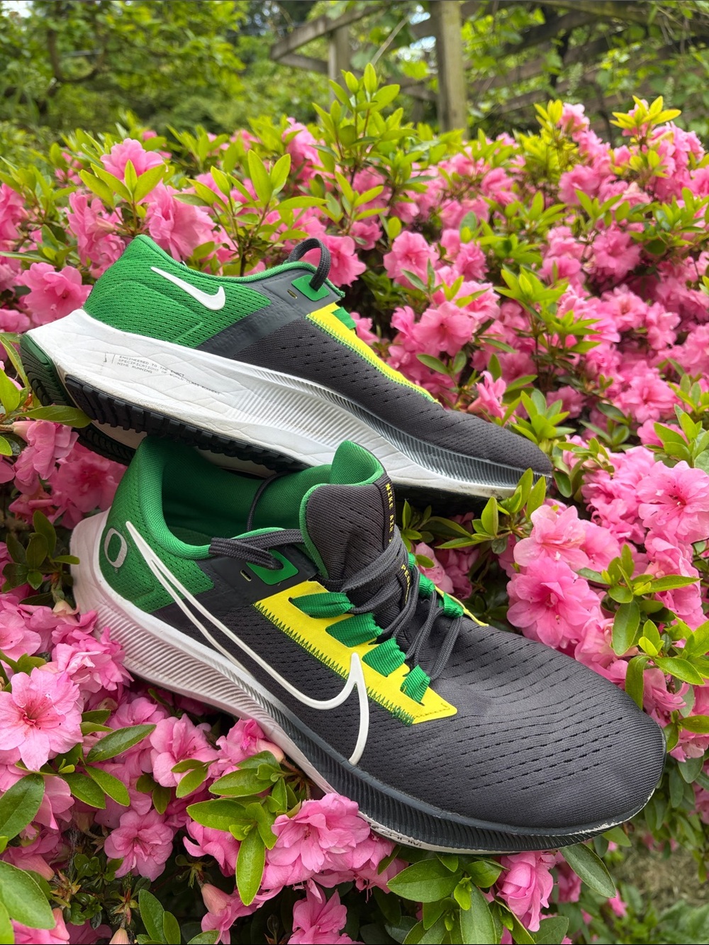 Nike Air Zoom Pegasus 38 Oregon Ducks mens Running Shoes
